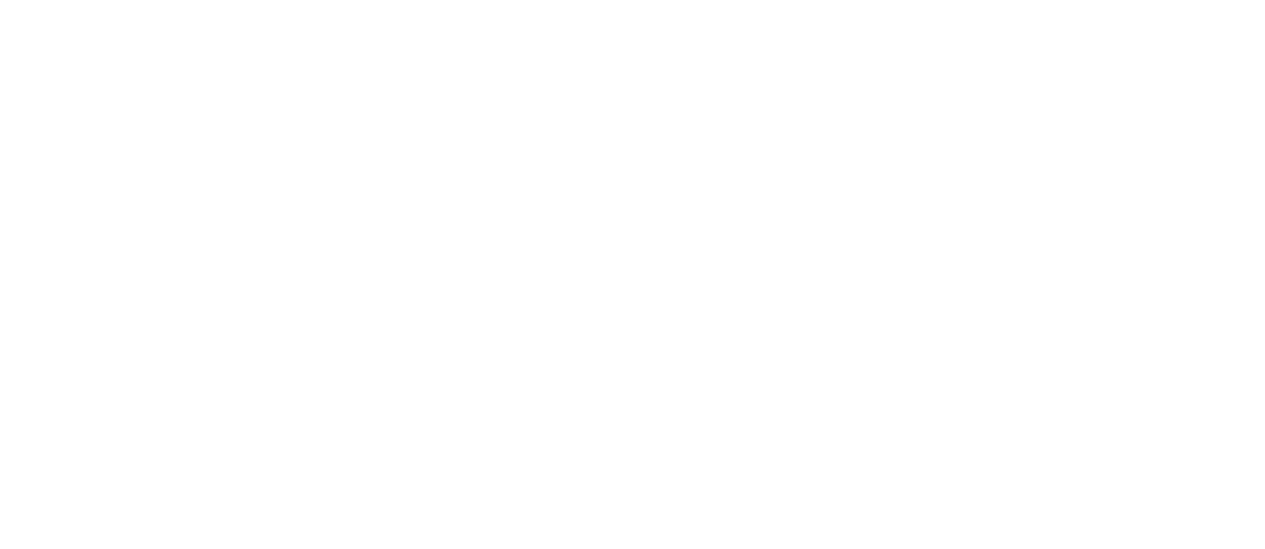 翼航海外 移民